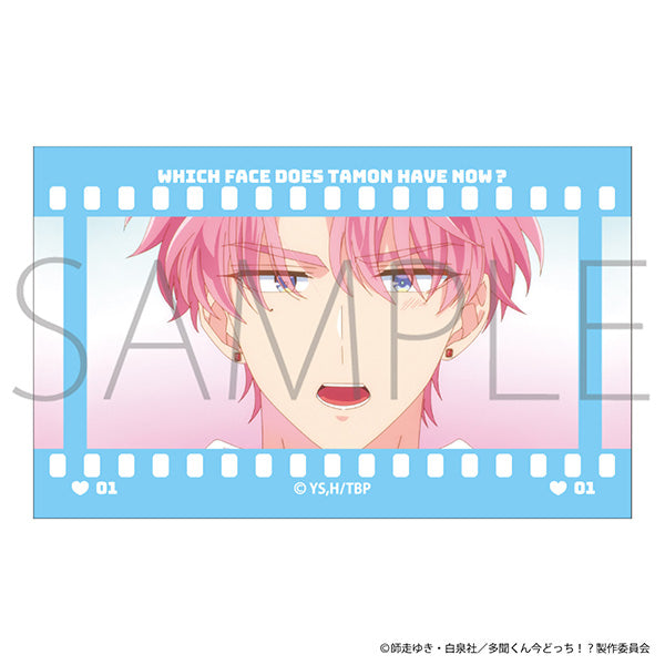 (Goods - Card) Tamon's B-Side Film Style Collection (Blind Box -Single)