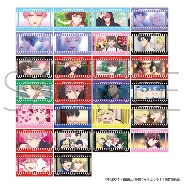 (Goods - Card) Tamon's B-Side Film Style Collection (Blind Box -Single)