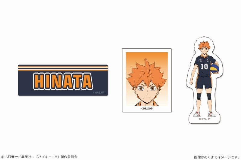 [Haikyu!!] Petamania Set 01 Shoyo Hinata