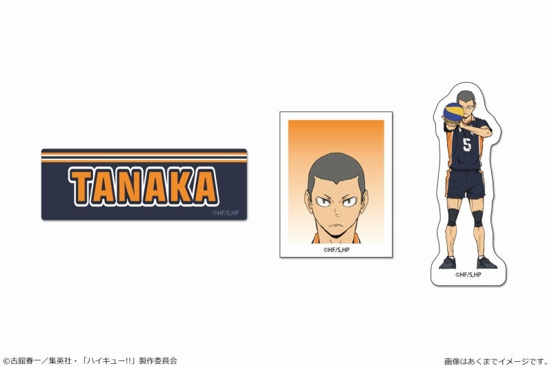 [Haikyu!!] Petamania Set 06 Ryunosuke Tanaka