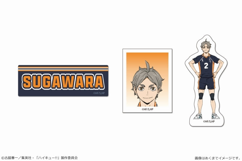 [Haikyu!!] Petamania Set 08 Koshi Sugawara