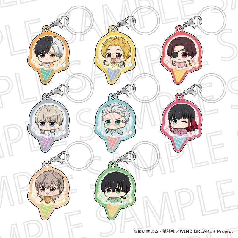 (Goods - Charm) WIND BREAKER Puchiteku Trading Multipurpose Tag(Blind Box -Single)