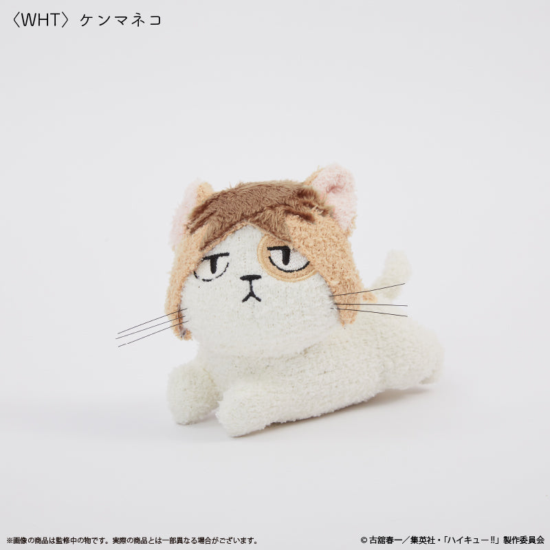 [Haikyu!!] //PreOrder// Palude Plush Keychain / Kenma Kozume