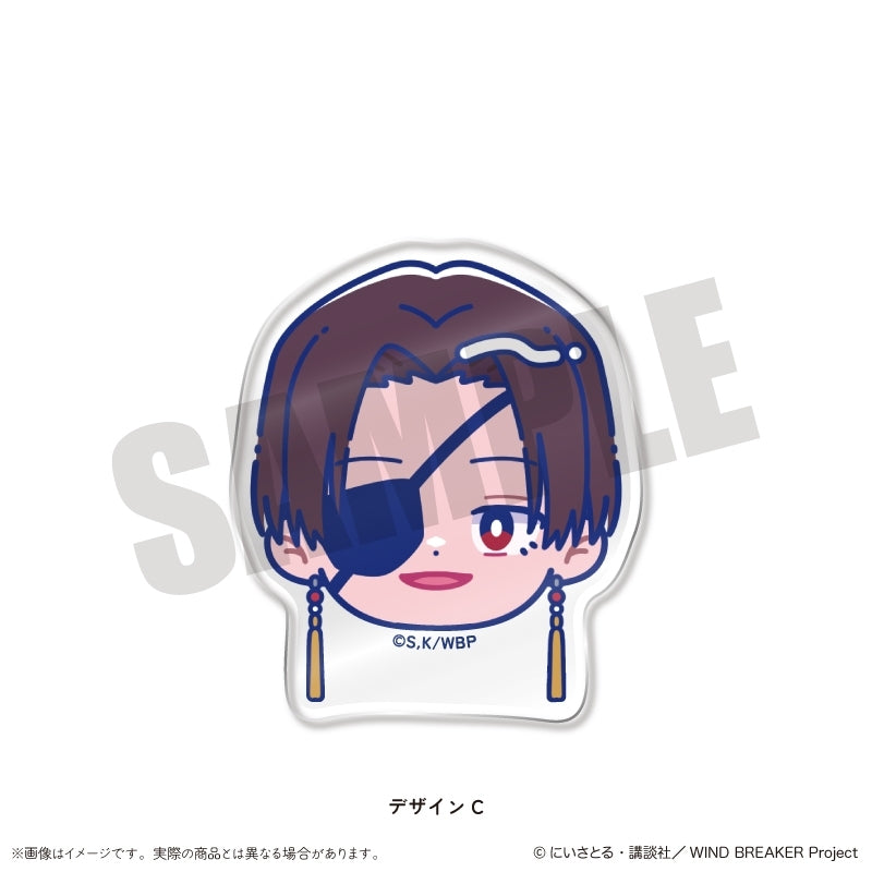 (Goods - Hair Accessory) WIND BREAKER TV Anime Newtoro Vol.2 Face Clip C Hayato Suo