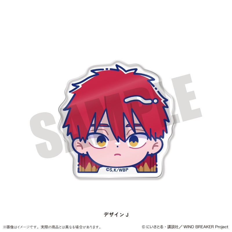 (Goods - Hair Accessory) WIND BREAKER TV Anime Newtoro Vol.2 Face Clip J Chika Takiishi