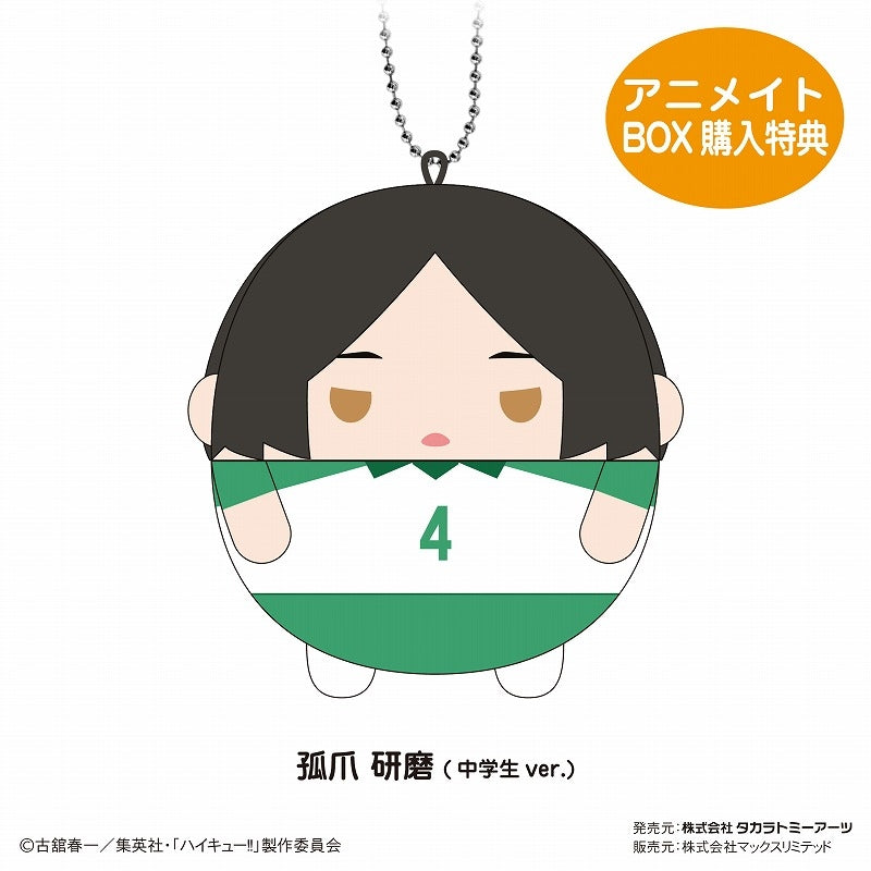 [Haikyu!!] Fuwa Kororin 8 Mascot (Blind Box -Single)