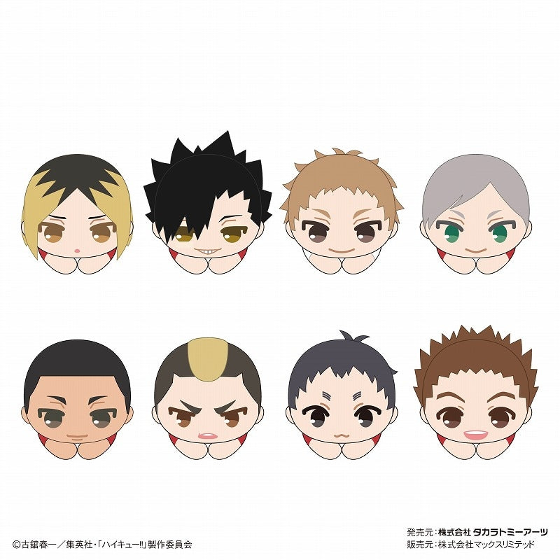 [Haikyu!!] HugChara Collection 8 Mascot (Blind Box -Single)