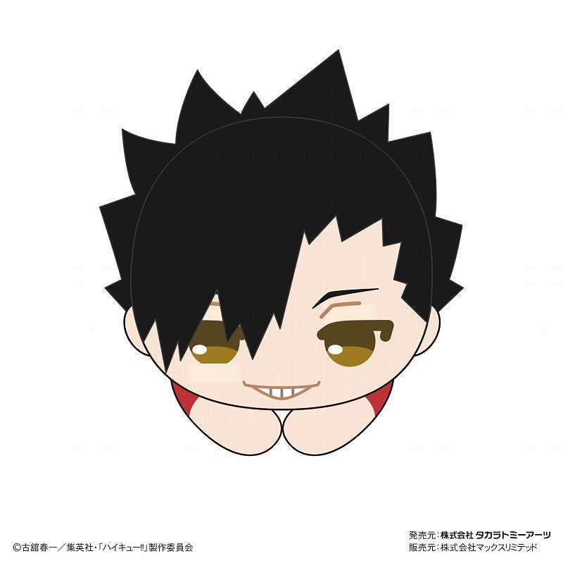 [Haikyu!!] HugChara Collection 8 Mascot (Blind Box -Single)