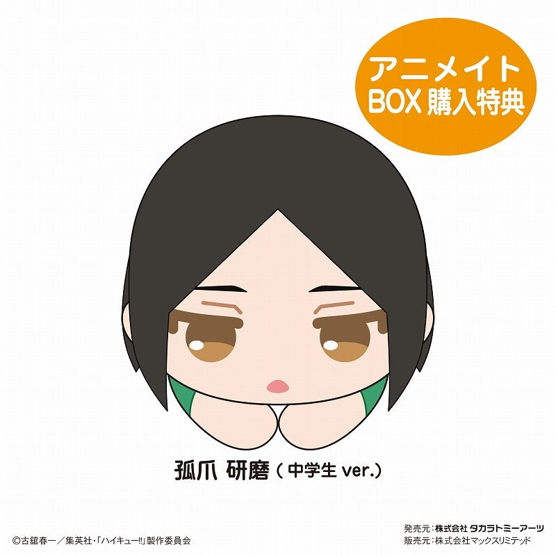 [Haikyu!!] HugChara Collection 8 Mascot (Blind Box -Single)