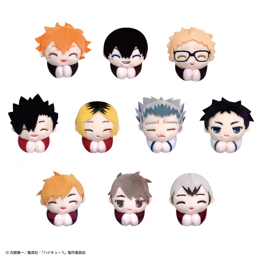 [Haikyu!!] Hug Chara Collection Special (Blind Box -Single)