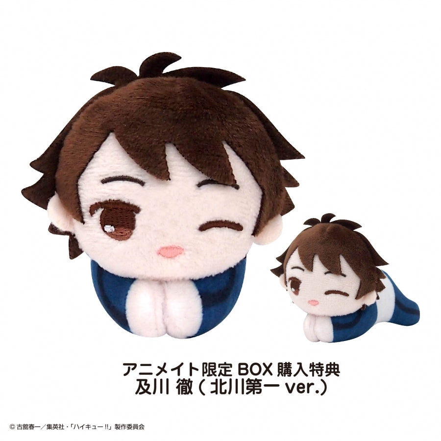 [Haikyu!!] Hug Chara Collection Special (Blind Box -Single)
