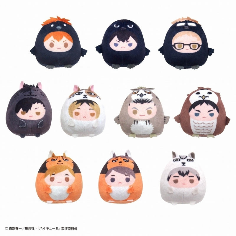 [Haikyu!!] Tenorinzu Collection (Blind Box -Single)