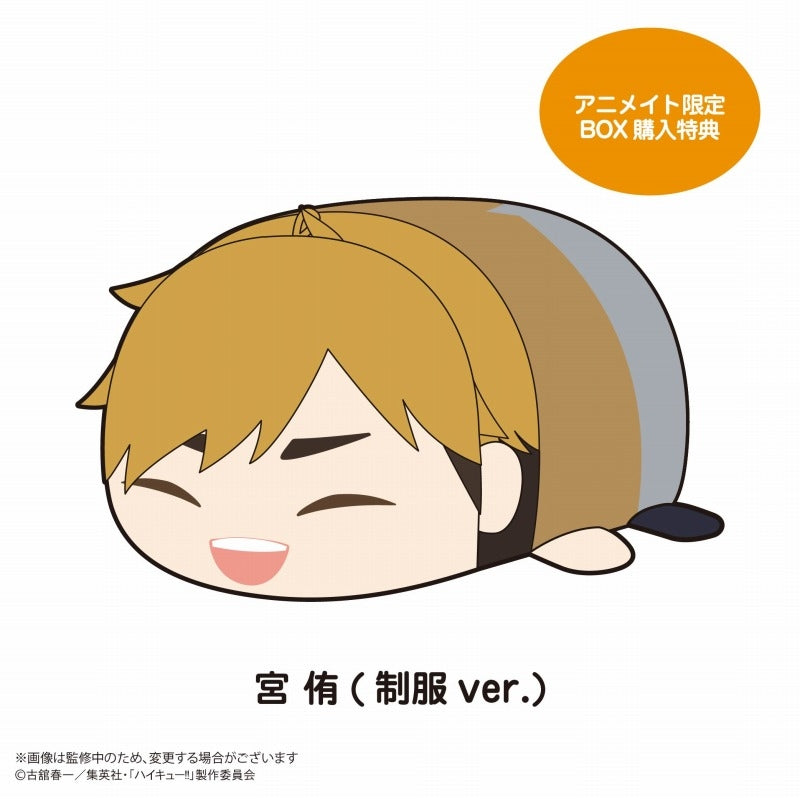 (Goods - Mascot) Haikyu!! PoteKoro Mascot 3 (Blind Box -Single)