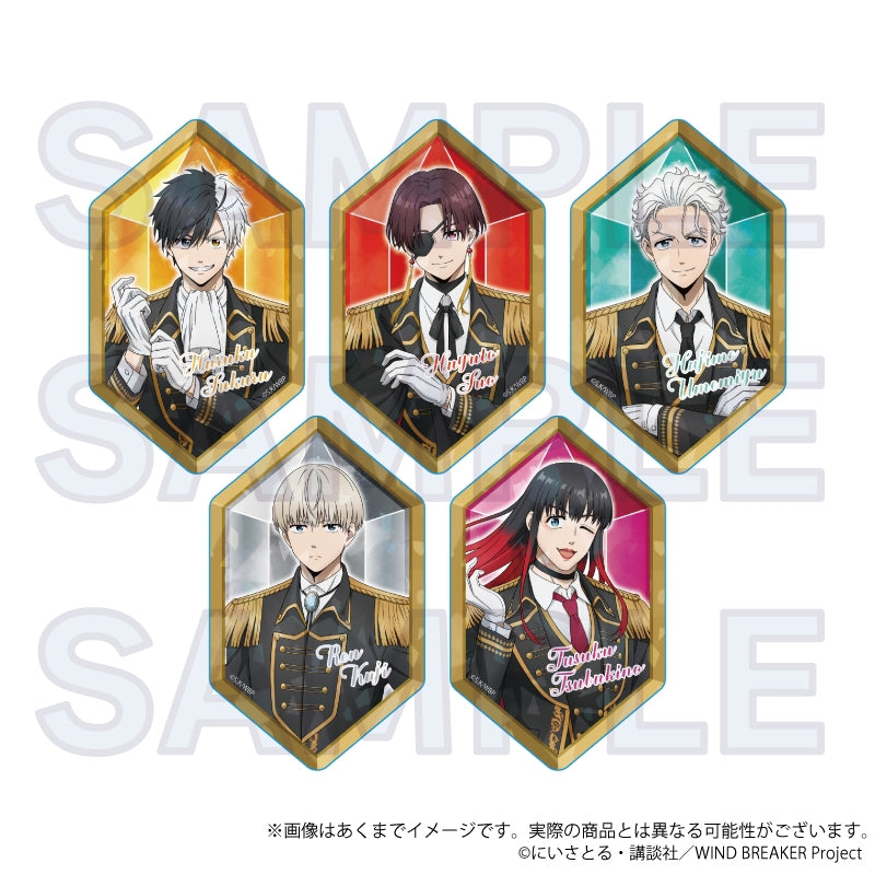(Goods - Card) WIND BREAKER Trading Holographic Acrylic Card  Knight Ver. (Blind Box -Single)
