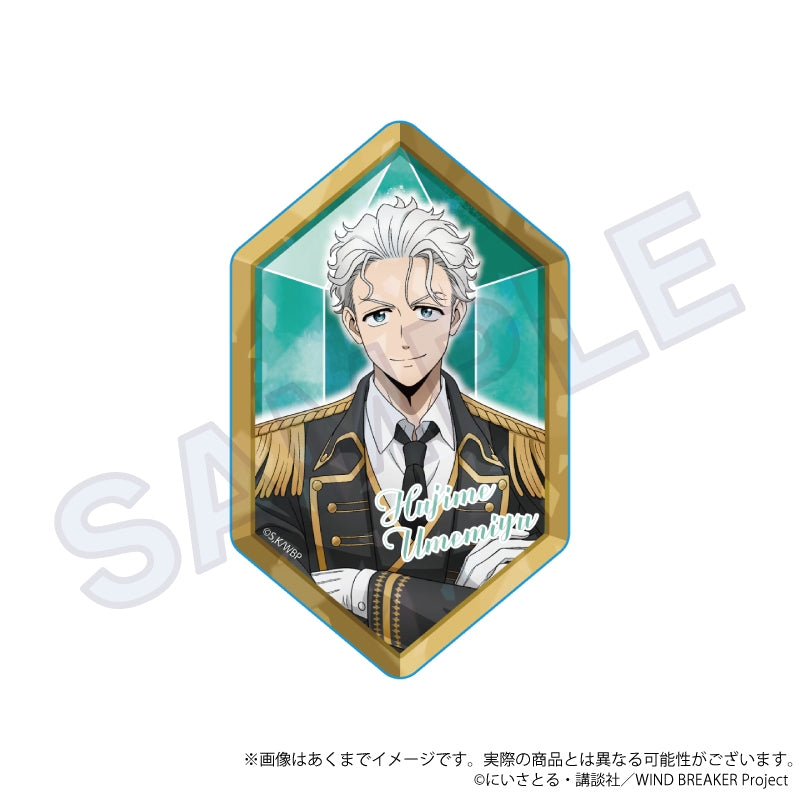 (Goods - Card) WIND BREAKER Trading Holographic Acrylic Card  Knight Ver. (Blind Box -Single)