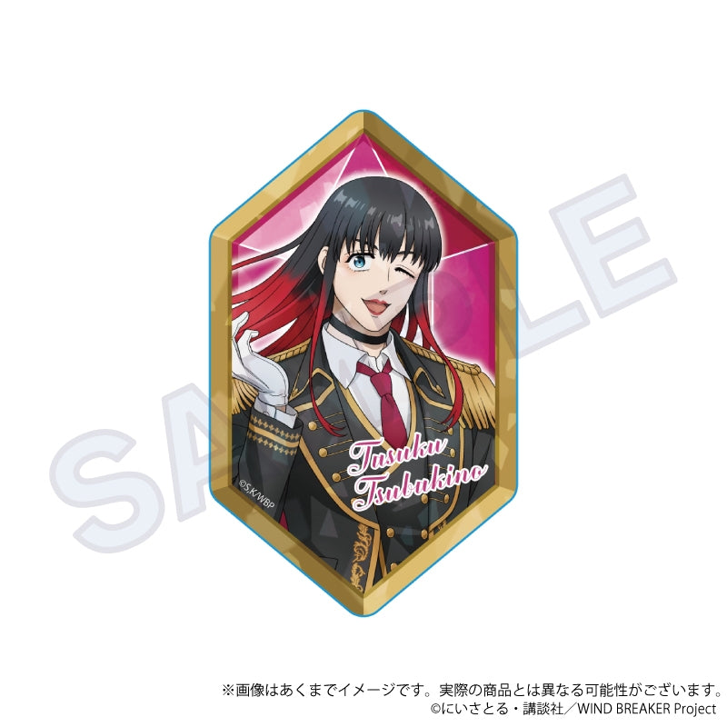 (Goods - Card) WIND BREAKER Trading Holographic Acrylic Card  Knight Ver. (Blind Box -Single)
