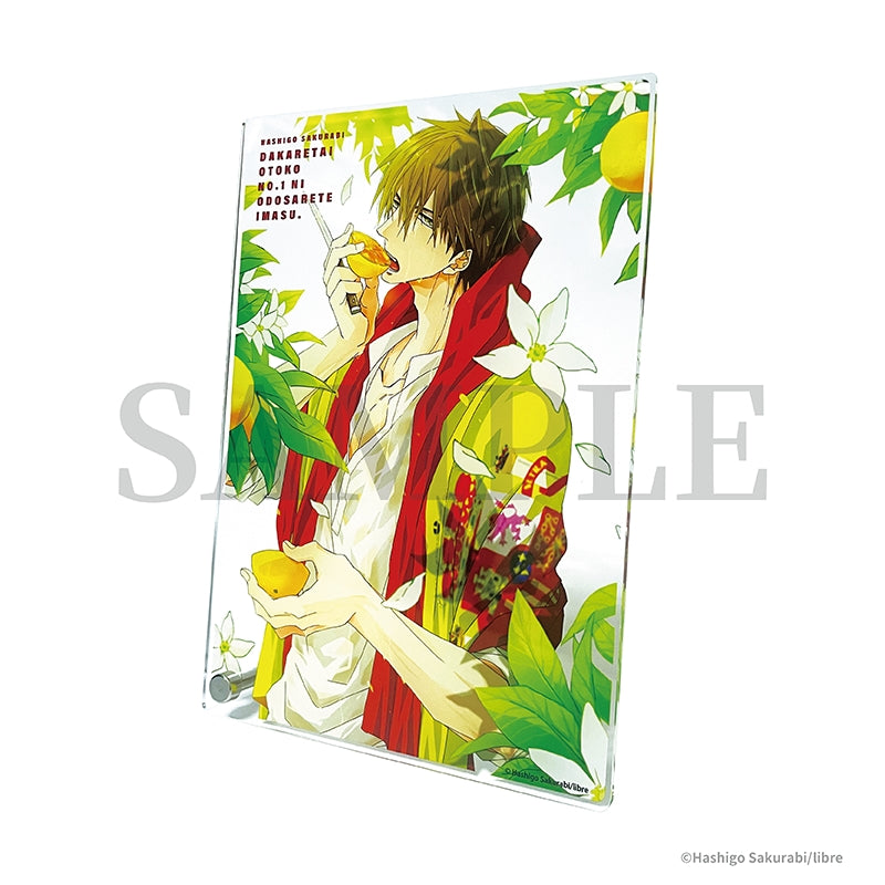 [DAKAICHI] Hashigo Sakurabi Acrylic Plate 5. [Hashigo Sakurabi Art Exhibition Post-Event Online Sales]