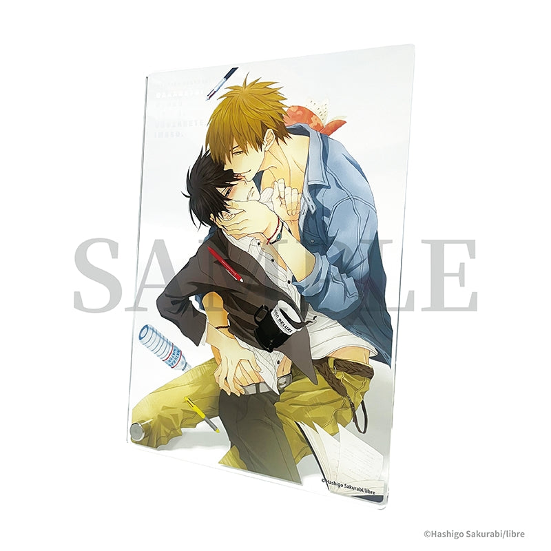 [DAKAICHI] Hashigo Sakurabi Acrylic Plate 6. [Hashigo Sakurabi Art Exhibition Post-Event Online Sales]