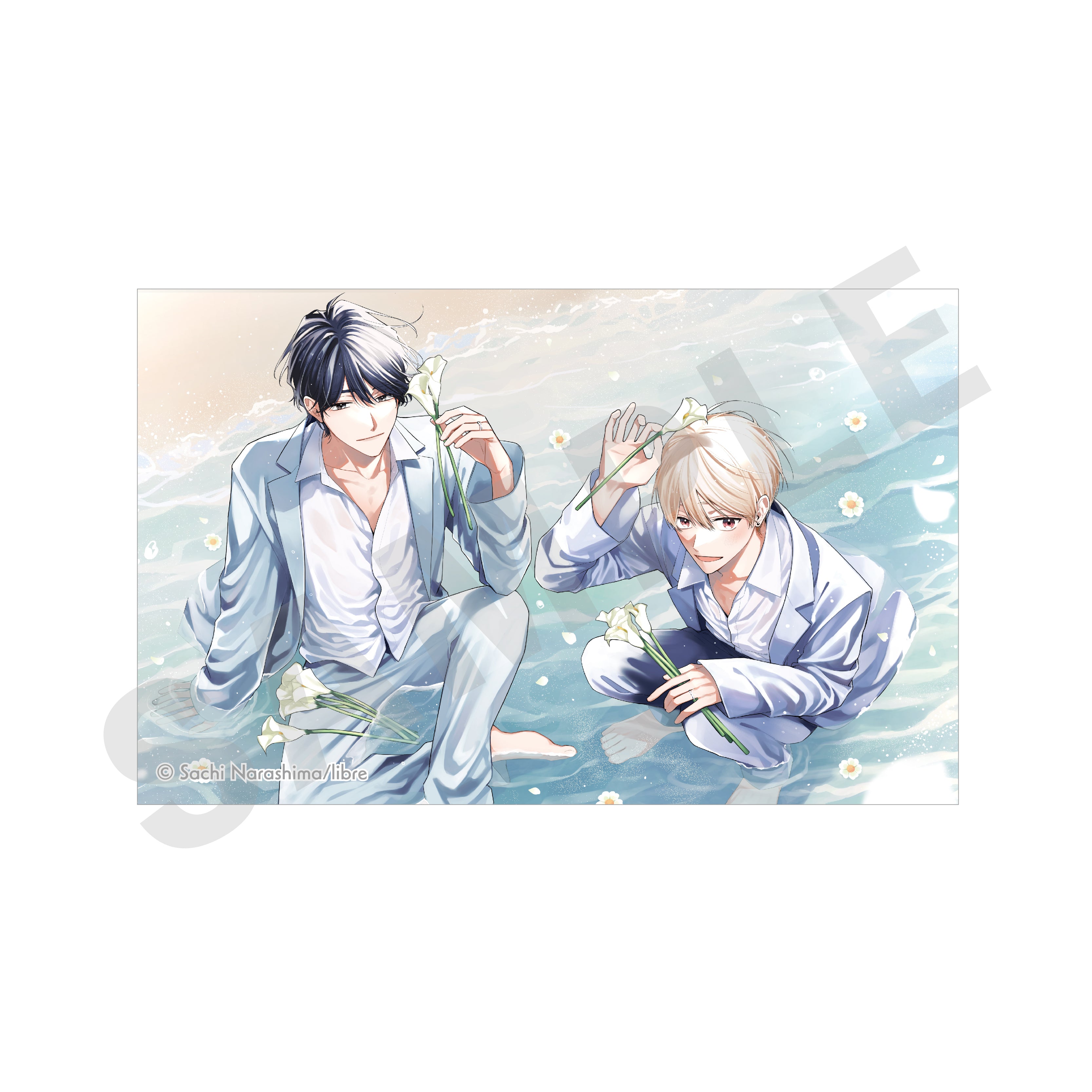 [Cosmetic Playlover] //PreOrder// Card (Blind Box -Single)