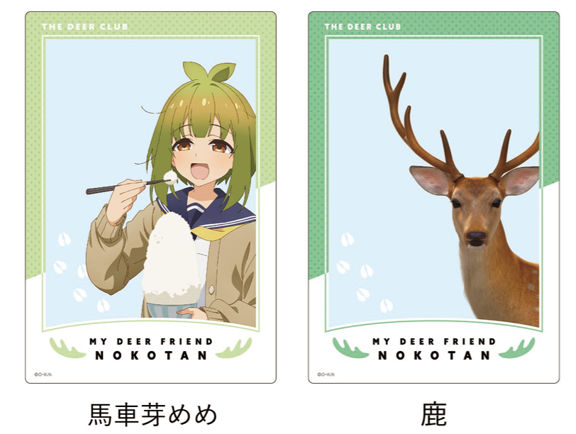 [My Deer Friend Nokotan] Clear Card (Blind Box -Single)