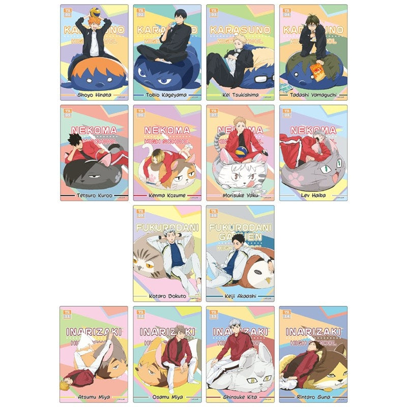 (Goods - Card) Haikyu!! Pictas (Blind Box -Single)