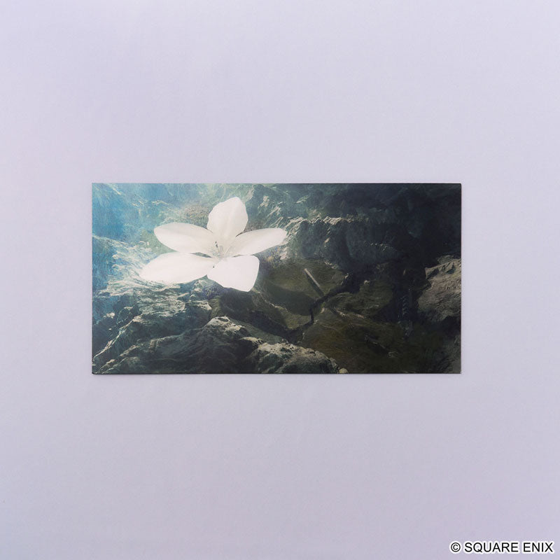 (Goods - Postcard) NieR Series Large Postcard Set