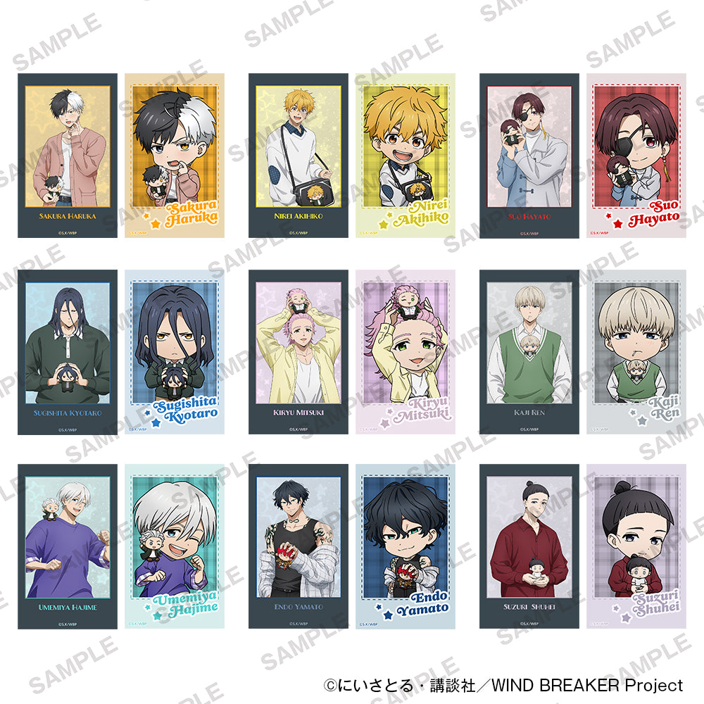(Goods - Card) TV Anime WIND BREAKER Mini Photo-style Illustrations Collection Together with Plushies Ver. (Blind Box - Single)