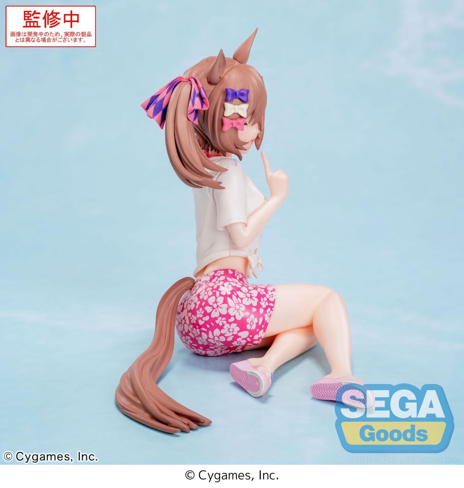 [Uma Musume] Smart Falcon: Gaze on Me - Yumemirize Figure