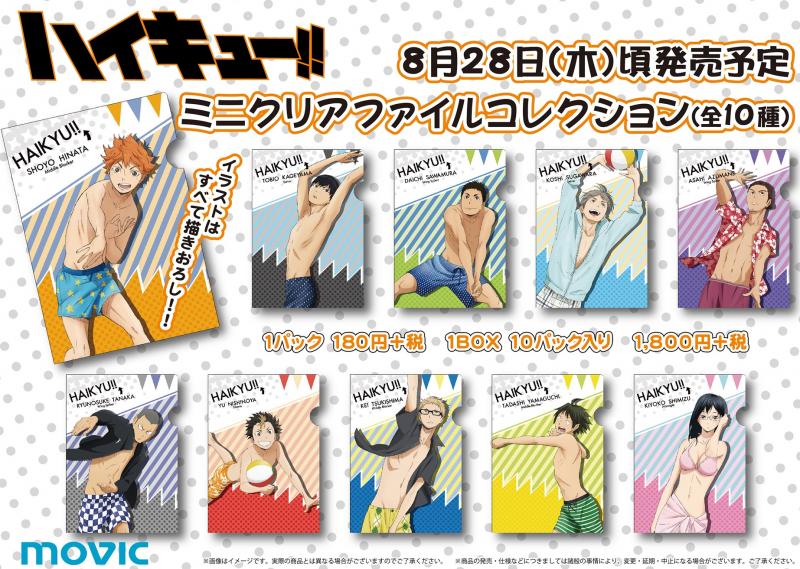 [Haikyu!!] Mini File Folder Collection/ Swimsuit