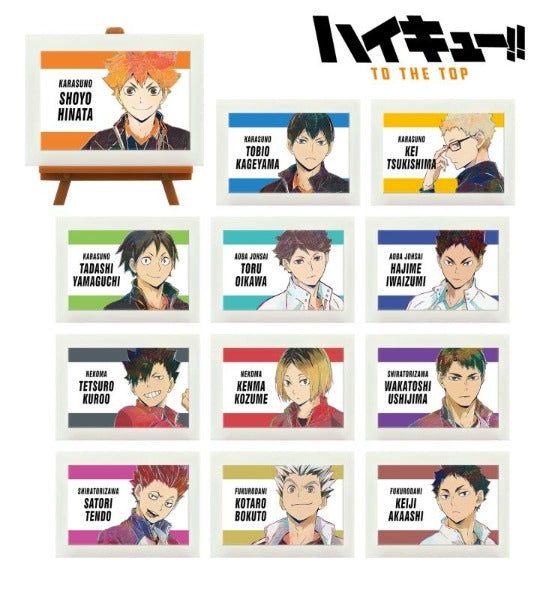 [Haikyu!!] Trading Ani-Art Vol.5 Mini Art Easel (Blind Box -Single)