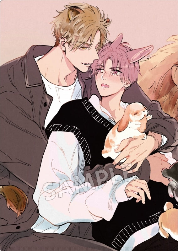 [Pheromoneholic] Be x Boy Collection File Folder B [animate Exclusive]