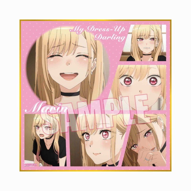 Persian Mystery794345サイドアクリル　OPお写真2枚目 My Dress-Up Darling] Trading Art Board (Blind Box -Single)