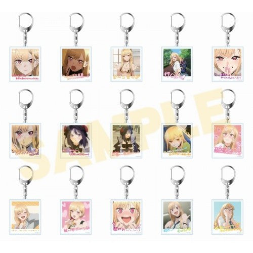 [My Dress-Up Darling] Instant photo style acrylic Keychain A group (15 random types)