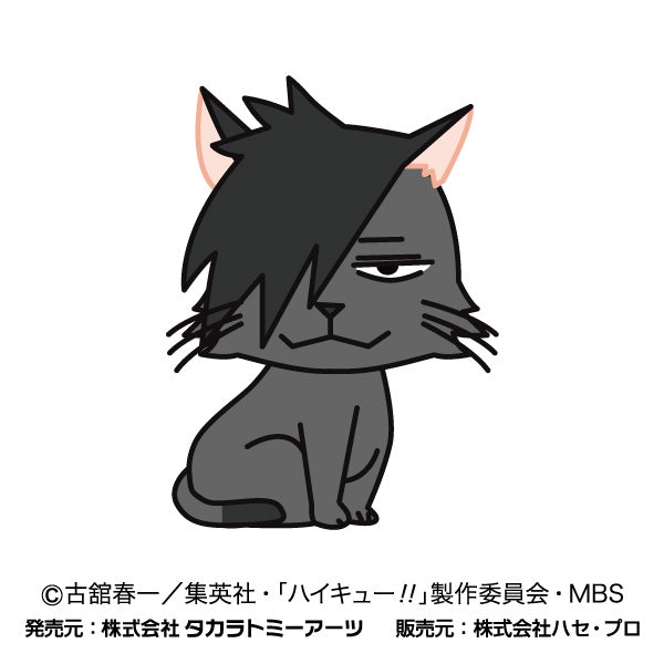 [Haikyu!!] Petit Badge Vol. 2 (Blind Box -Single)