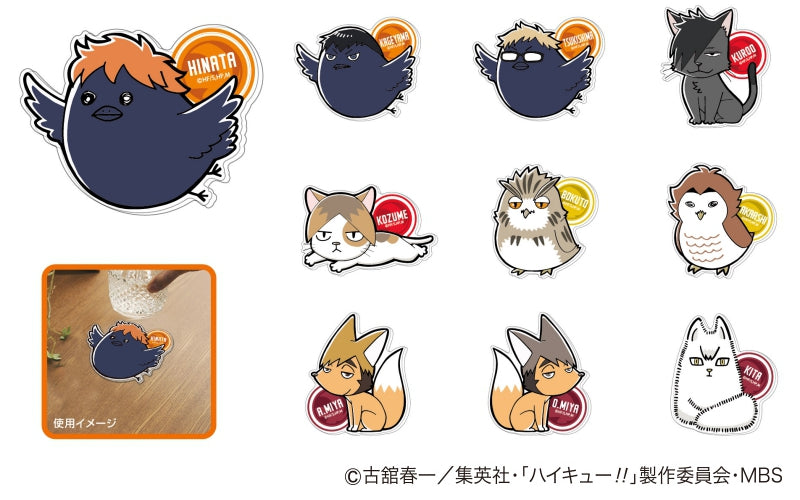 [Haikyu!!] Big Acrylic Coaster (Blind Box -Single)