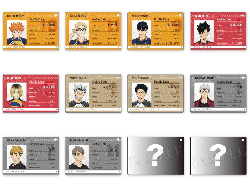 [Haikyu!!] Profile Card Keychain (Blind Box -Single)