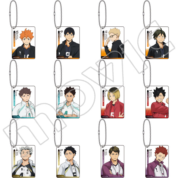 [Haikyu!!] Square Acrylic Key Holder Collection (Blind Box -Single)