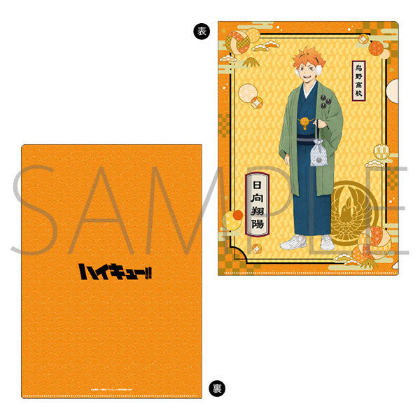 [Haikyu!!] File Folder / Hinata