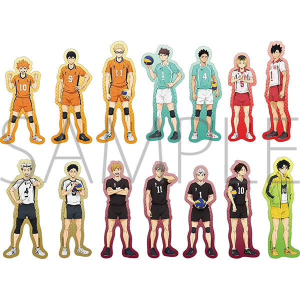 [Haikyu!!] Die-cut Sheet Collection (Blind Box -Single)