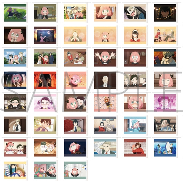 [SPY x FAMILY] Pashacolle (Blind Box -Single)