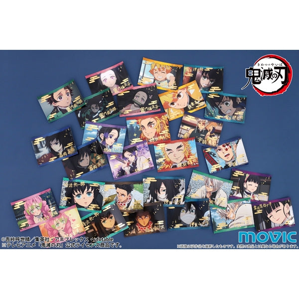 [Demon Slayer: Kimetsu no Yaiba] KiraSti Collection/Vol.3 (Blind Box -Single)
