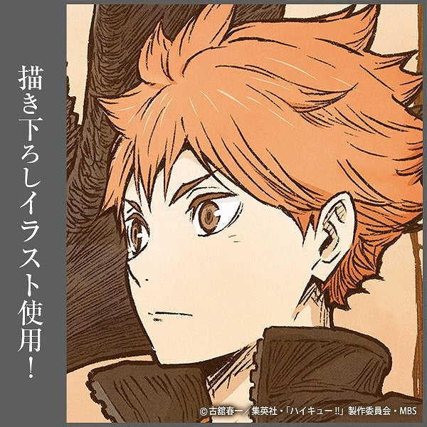 [Haikyu!!] Acrylic Art Board w/ Stands FLYING ver. Shoyo Hinata