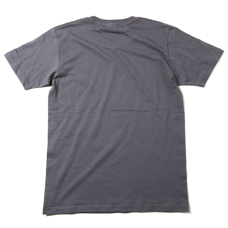 [Evangelion] RADIO EVA Longinus Art GRAY T-Shirt