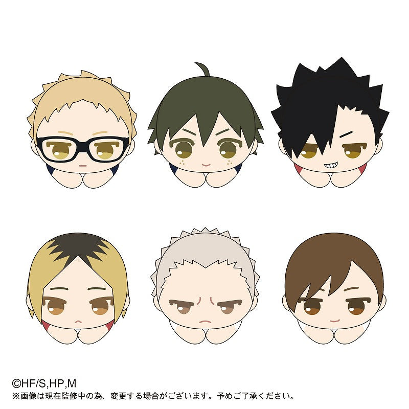[Haikyu!!] HugChara Collection 2 – Blind Box