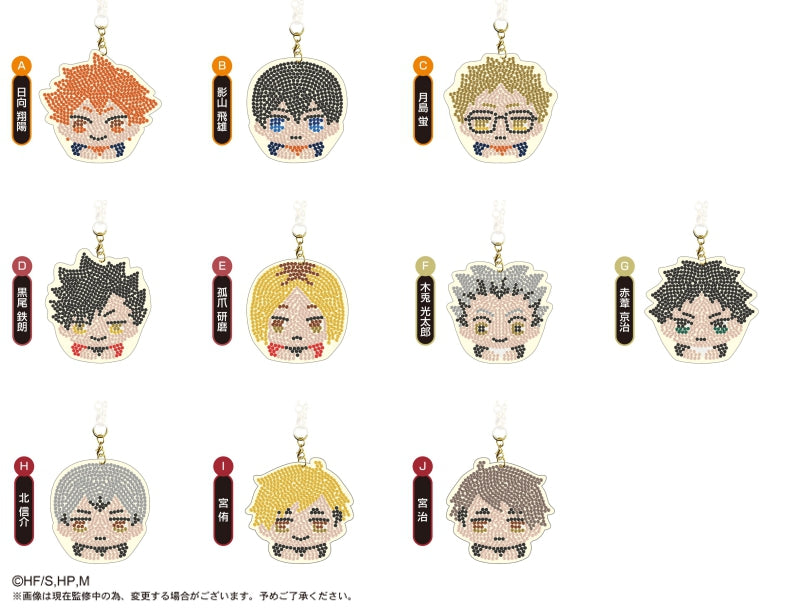 [Haikyu!!] Jewelry Mascot Collection – Blind Box