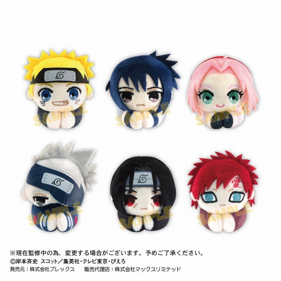 NARUTO Shippuden] Hug-Chara Collection Plush (Blind Box