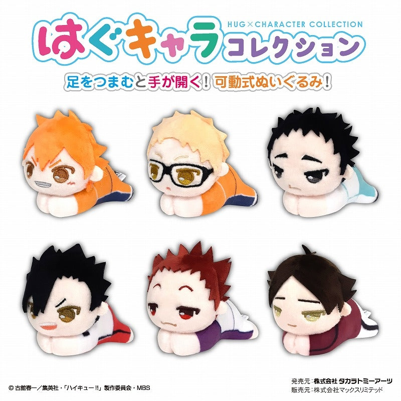 [Haikyu!!] HugChara Collection 5 (Blind Box -Single)