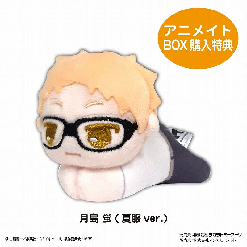 [Haikyu!!] HugChara Collection 5 (Blind Box -Single)