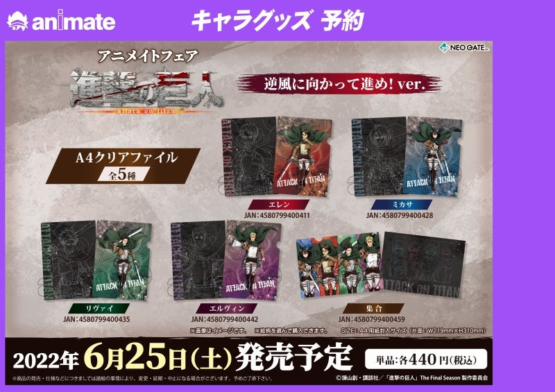 [Attack on Titan] A4 File Folder Against The Wind! Ver. (Erwin)