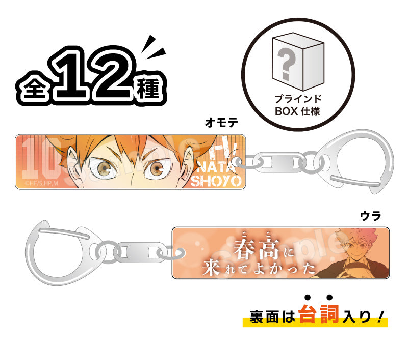[Haikyu!!] Trading Eye-Catching Acrylic Key Chain Collection – Blind Box Single